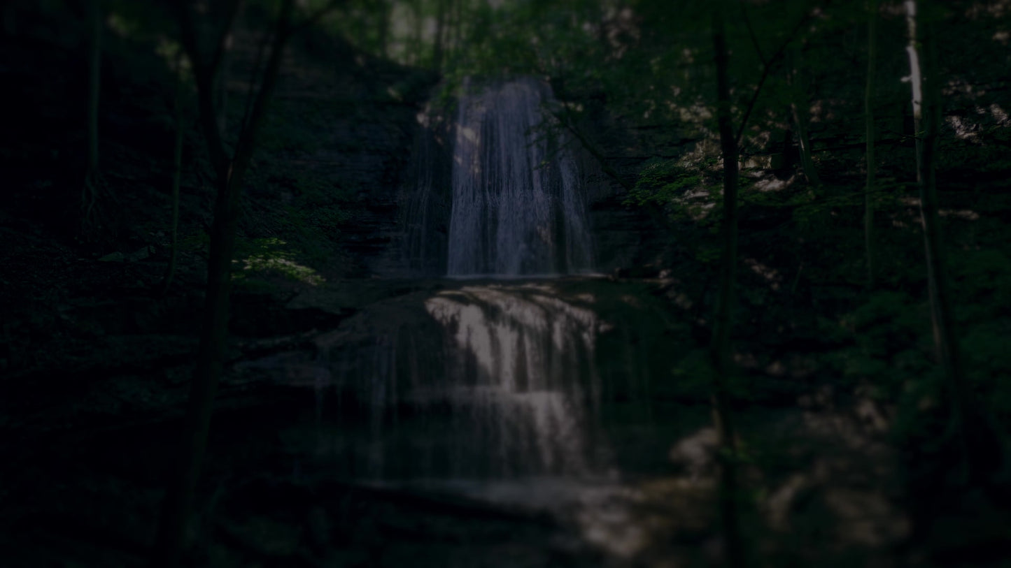 Nature's Force 6 Darken