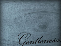 Fruit Of The Spirit: Gentleness
