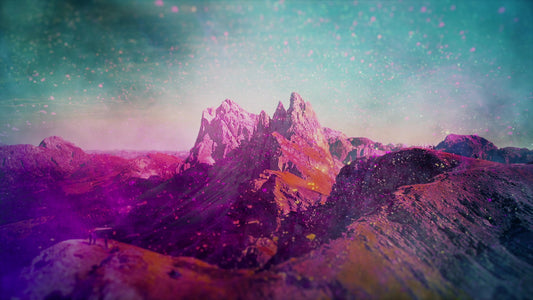 Vivid  2 Still