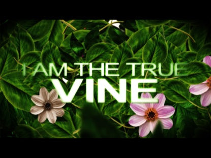 The True Vine