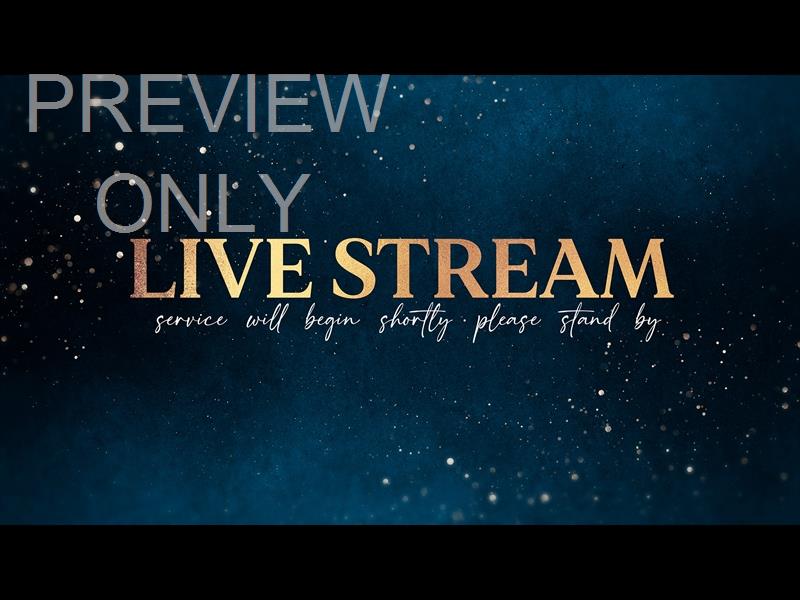 Christmas Shimmer Live Stream Still