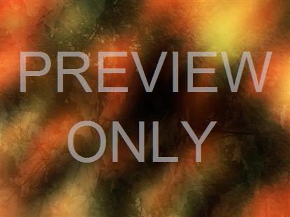 Radiant Harvest Still 2