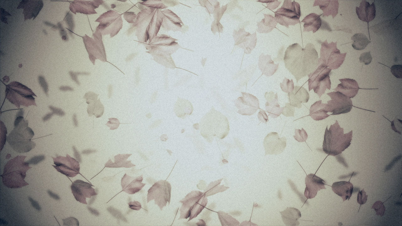 Old Leaves