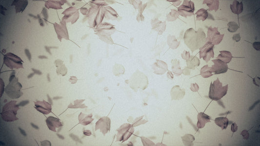 Old Leaves