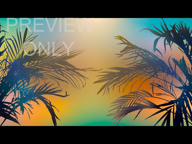 Sun Palms 13 Still