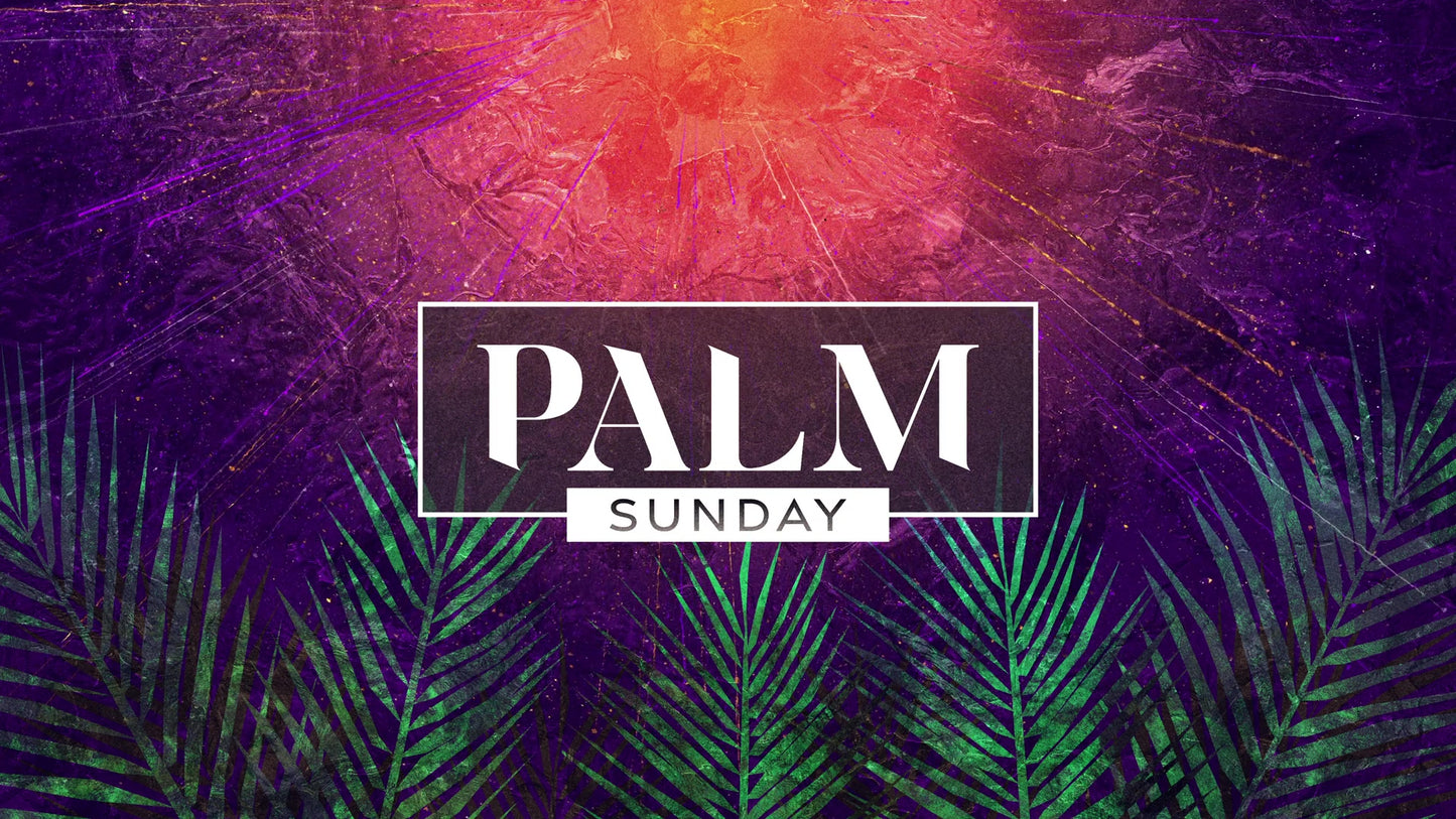 Vivid Palm Sunday Palm Sunday 02 Still