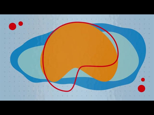 Abstract 4 Background 5