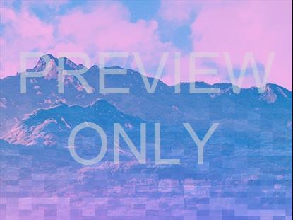 Resurrection Hope Still 8