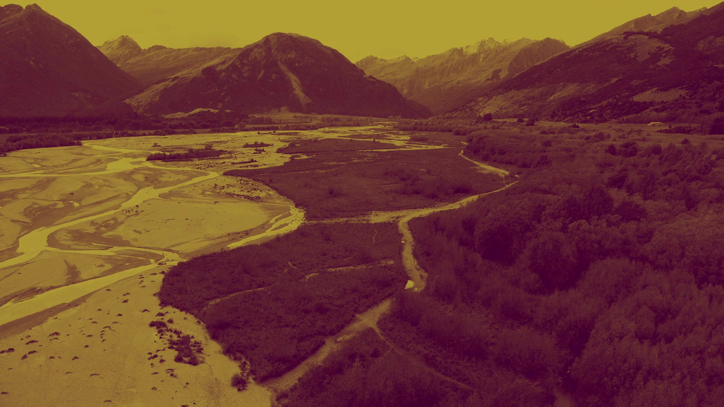 Peaceful Flight 12 Tint Still