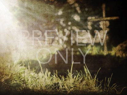 Across The Path 2 Still