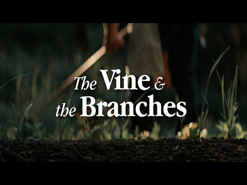 The Vine And The Branches