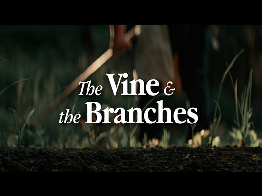 The Vine And The Branches
