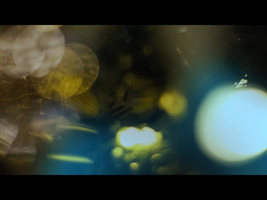 Bright And Beautiful Loop 10