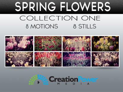 Spring Flower Collection