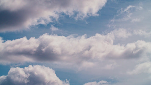 Spring Nature Still 05