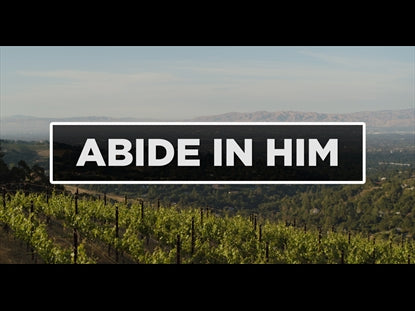 Abide In Him