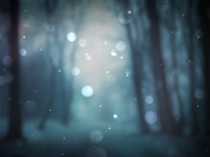 Winter Bokeh 2