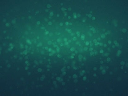 Lush Forest Rotating Particles