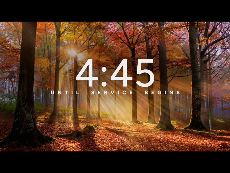 Autumn Light Countdown