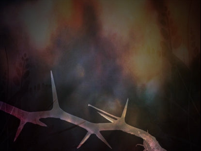 Grace Of Easter 16 Motion