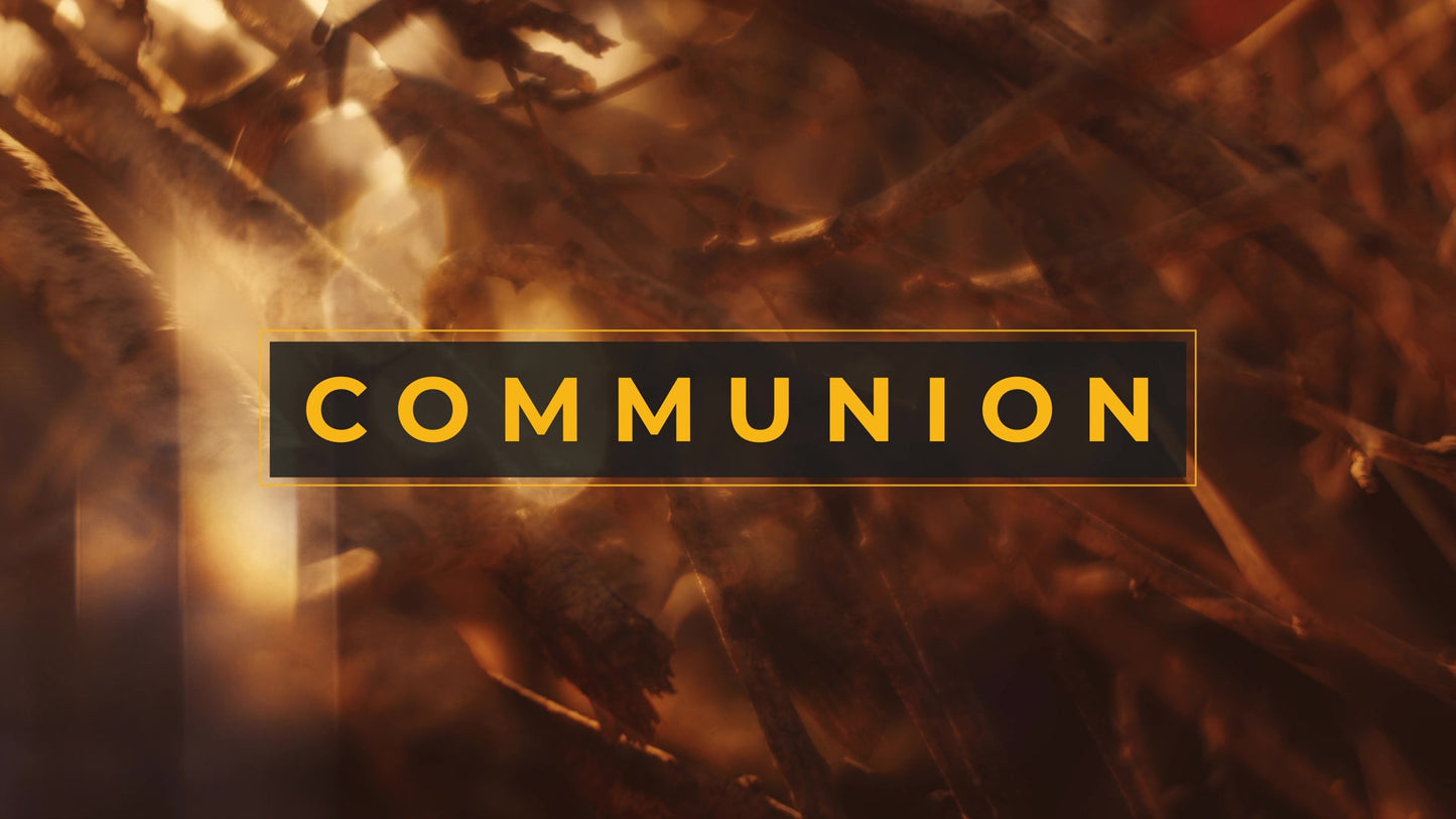 Autumn Dream Communion Still