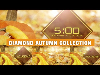 Diamon Autumn Collection