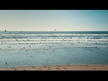 Ocean Background