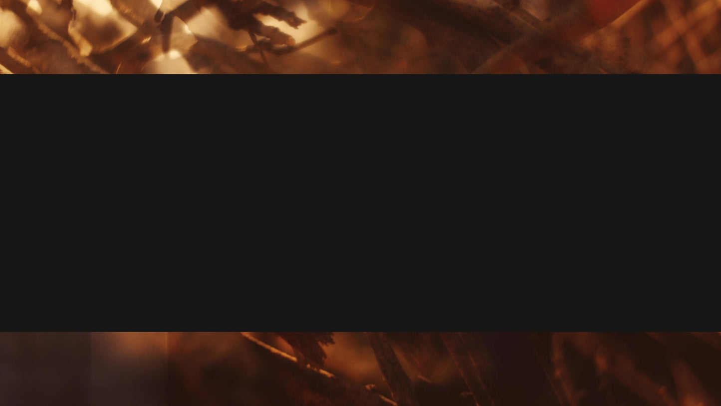 Autumn Dream Branch Box