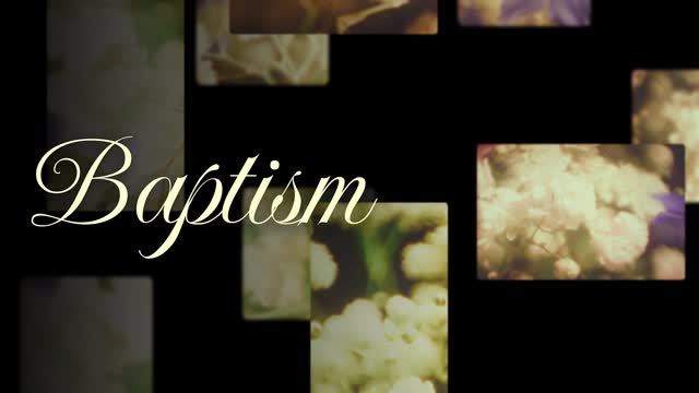 Bloom Again Baptism