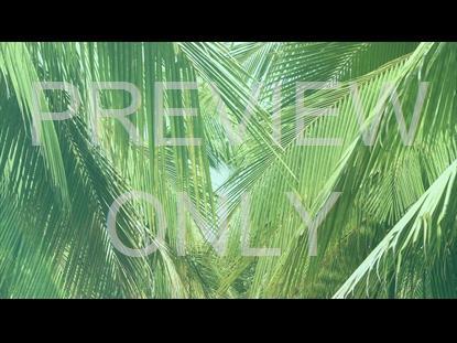 Palm Sunday Teaching Still 1