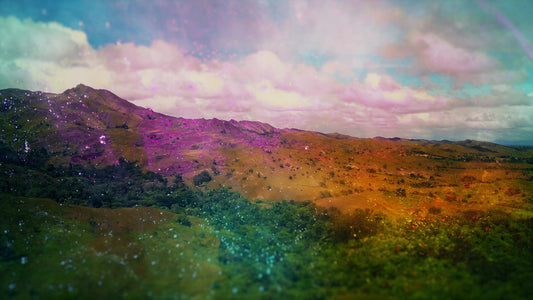 Vivid Nature 3