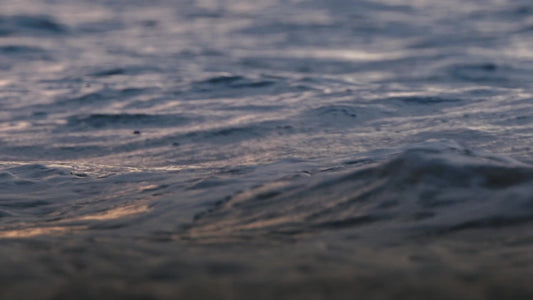 Spring Nature Motion 11