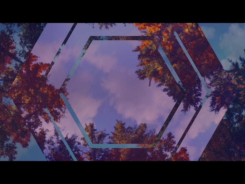 Fall Trees 8 Remix