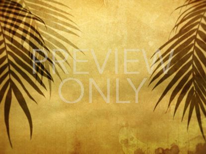 Rustic Palms 01