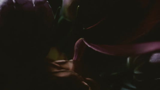 Beauty And Strength Loop 07