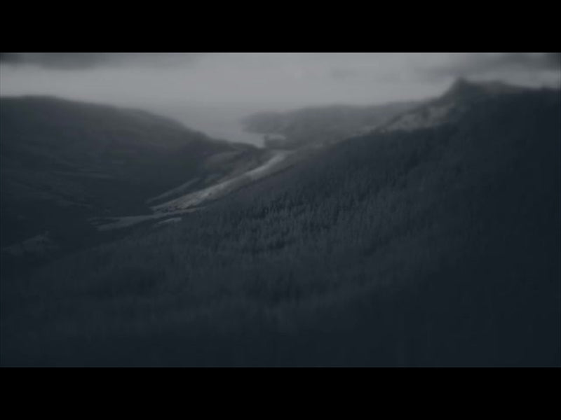 Aerial Bliss 2 Alt