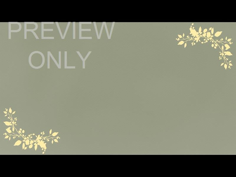 Petite Flower: Still 10