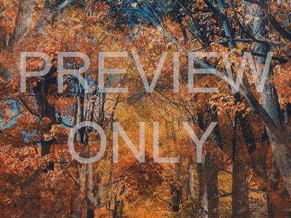 Rustic Autumn Still 4