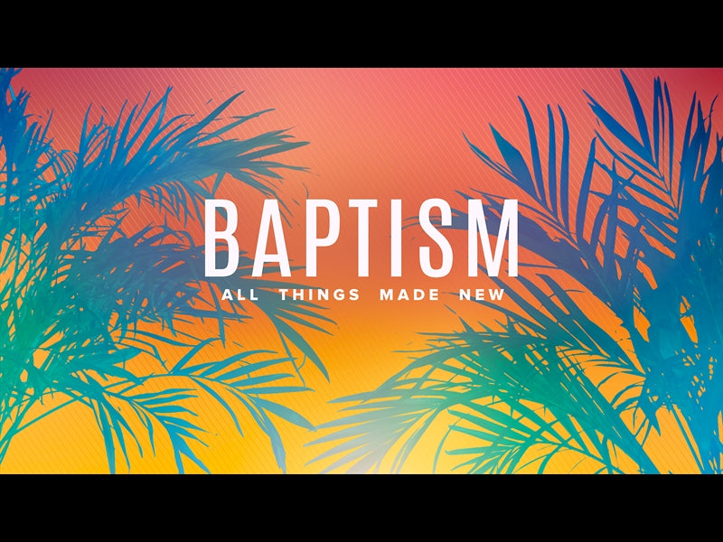 Sun Palms Baptism