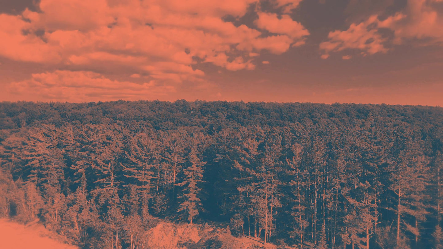 Pictured Rocks 2 Tint Still