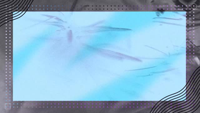 Wonder Background 02
