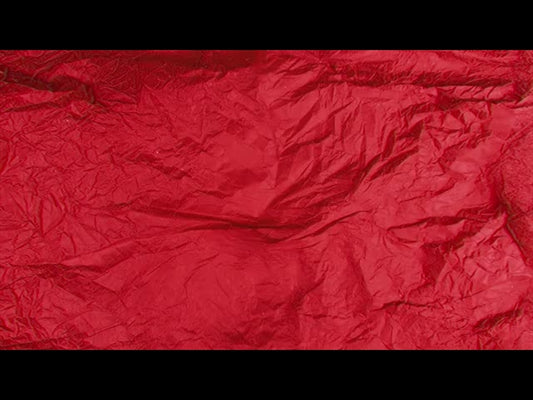 Christmas Stop Motion Dust 2