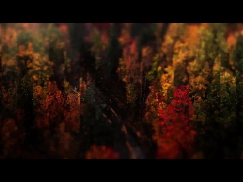 Autumns End 1
