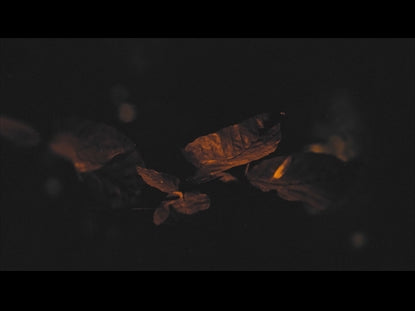 Elegant Fall 4