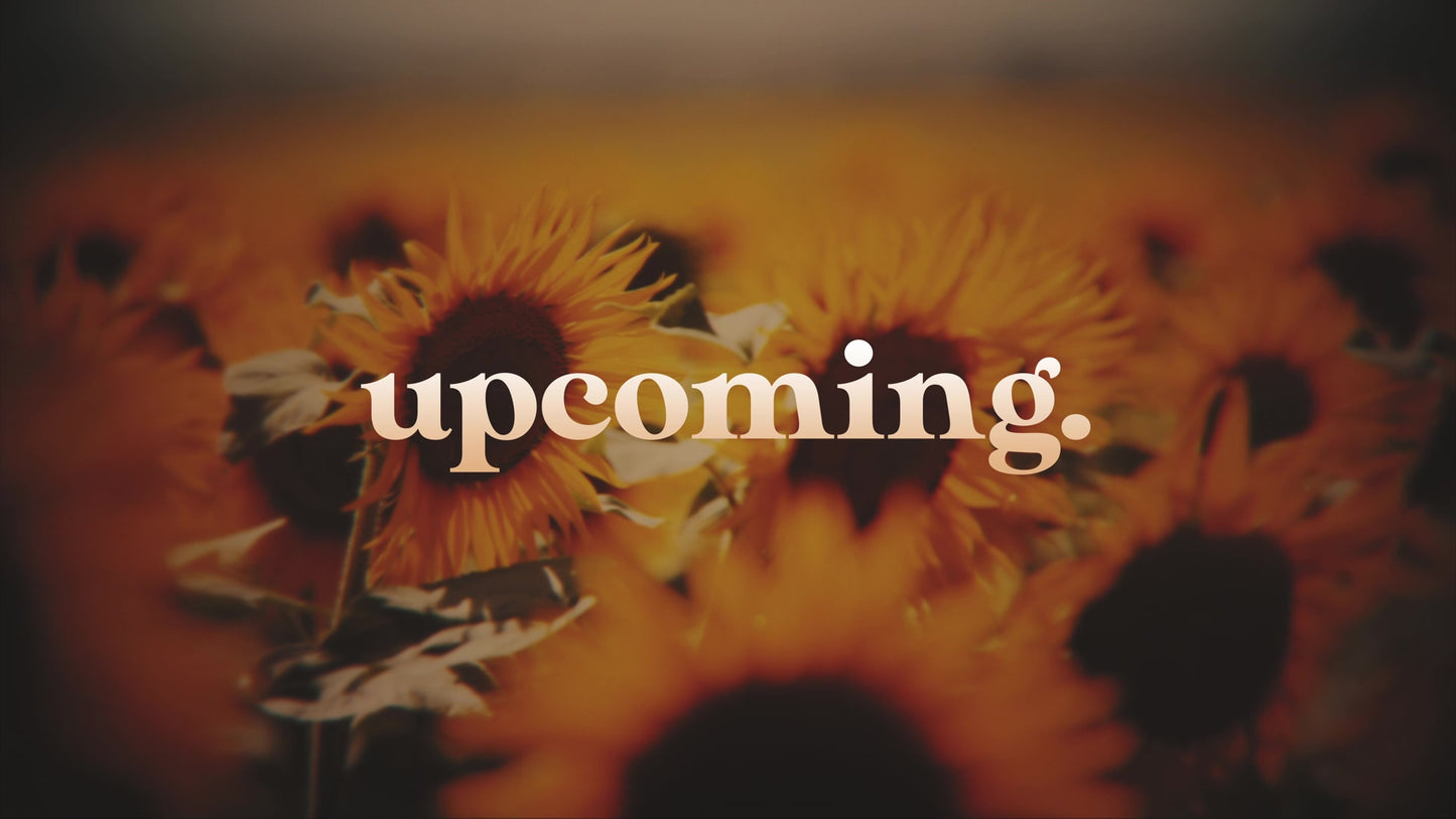 Vintage Sunflowers Upcoming Still