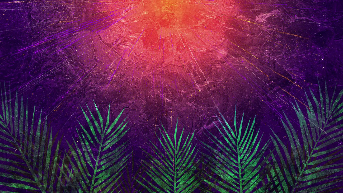 Vivid Palm Sunday 05 Still