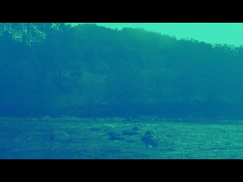 River Rocks Blue Green Hills