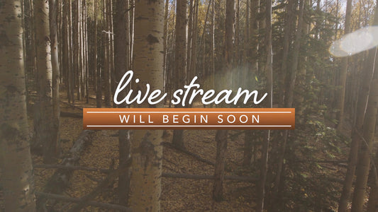 Mountain Hike Live Stream