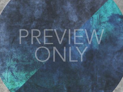 Grunge Circle Blank 2