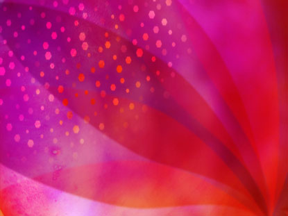 Pink Fan